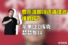 沧州贷款清欠服务